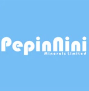 PepinNini Minerals